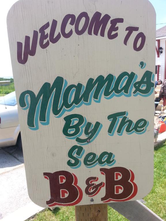 Mama'S By The Sea B&B Clark's Harbour Luaran gambar